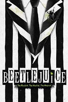 broadway beetlejuice physical therapy