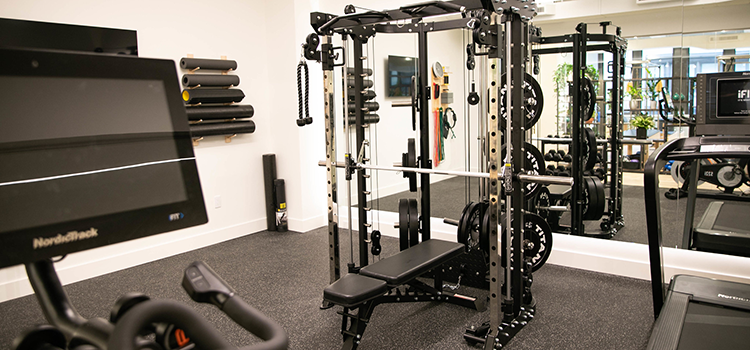 physical therapy and rehabilitation equipment